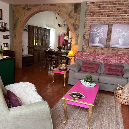 Loft Rural Διαμέρισμα Tegueste Εξωτερικό φωτογραφία