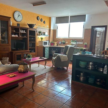 Loft Rural Διαμέρισμα Tegueste Εξωτερικό φωτογραφία